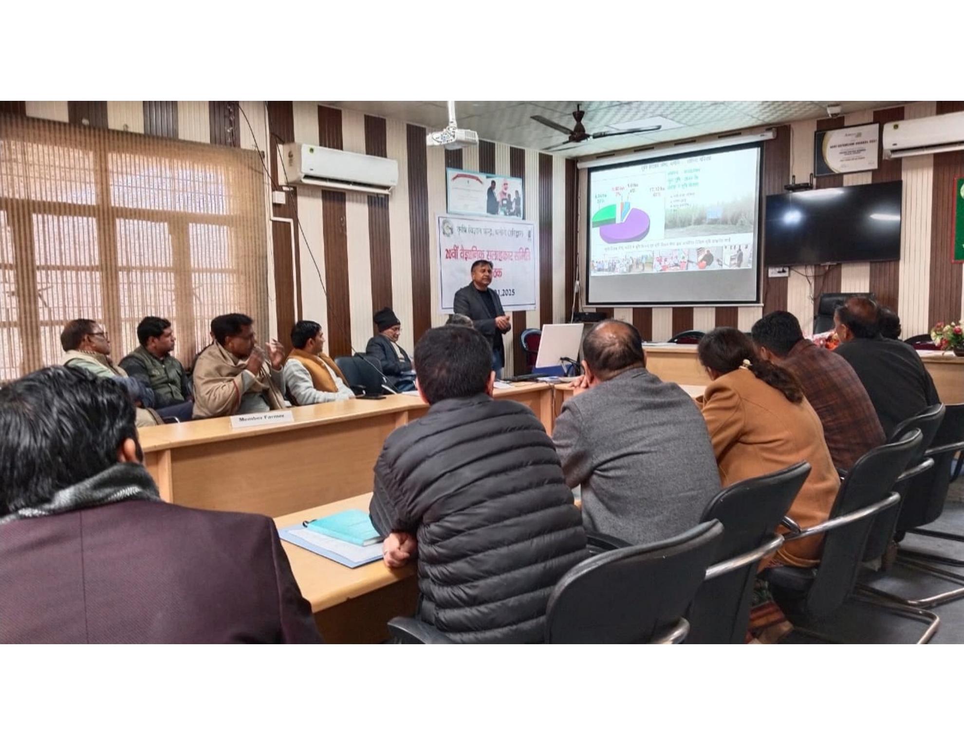 Scientific advisory and institutional programme