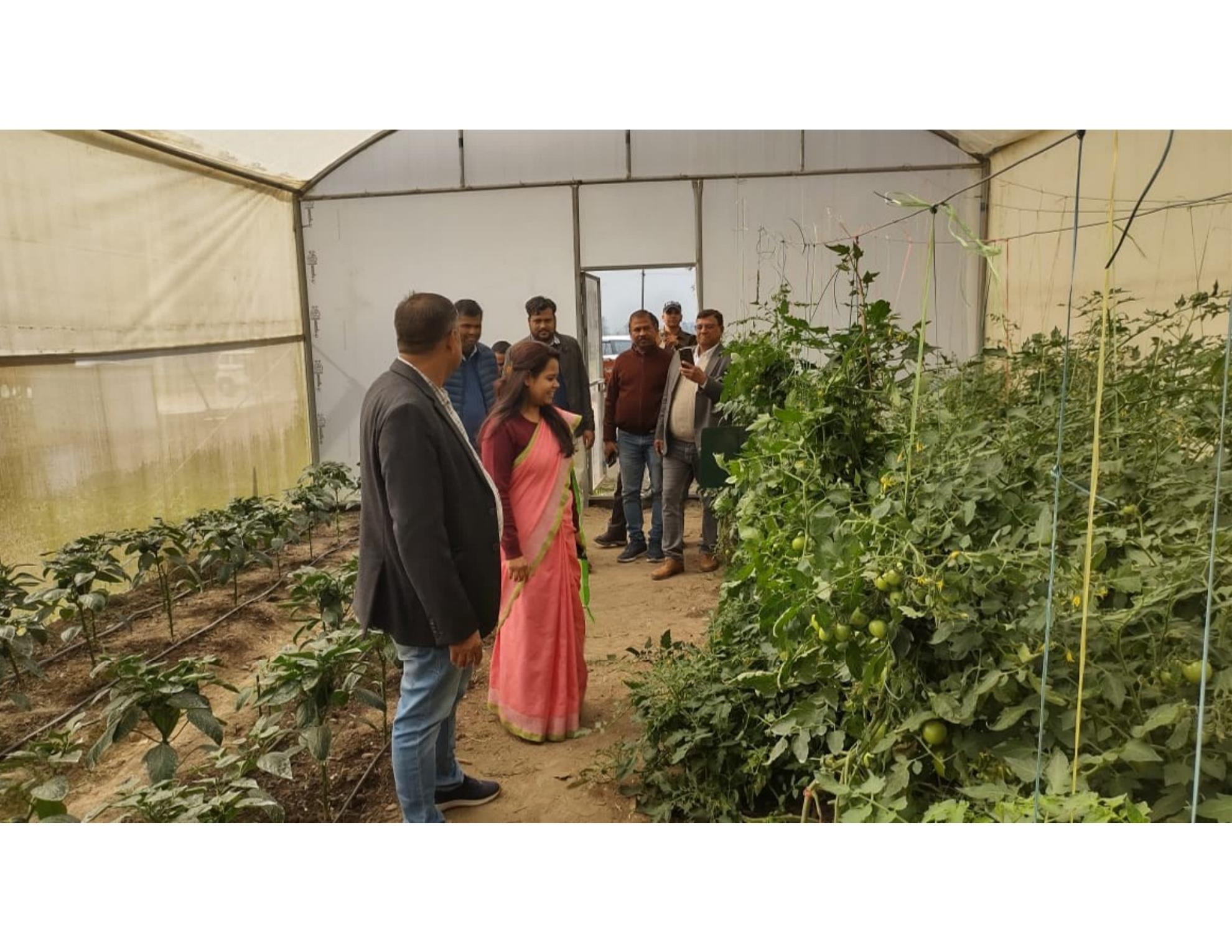 Protected cultivation and greenhouse visit