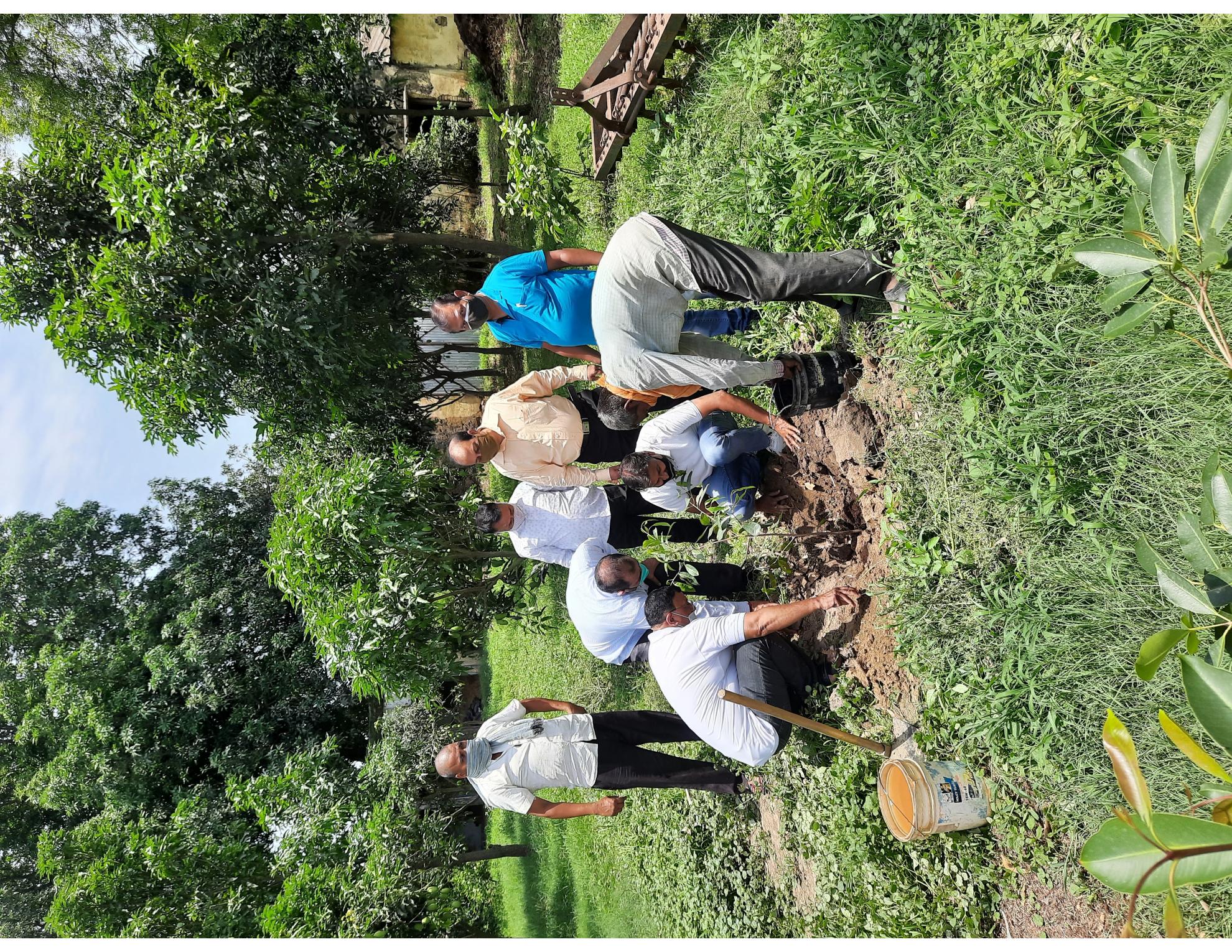 Tree-planting activity