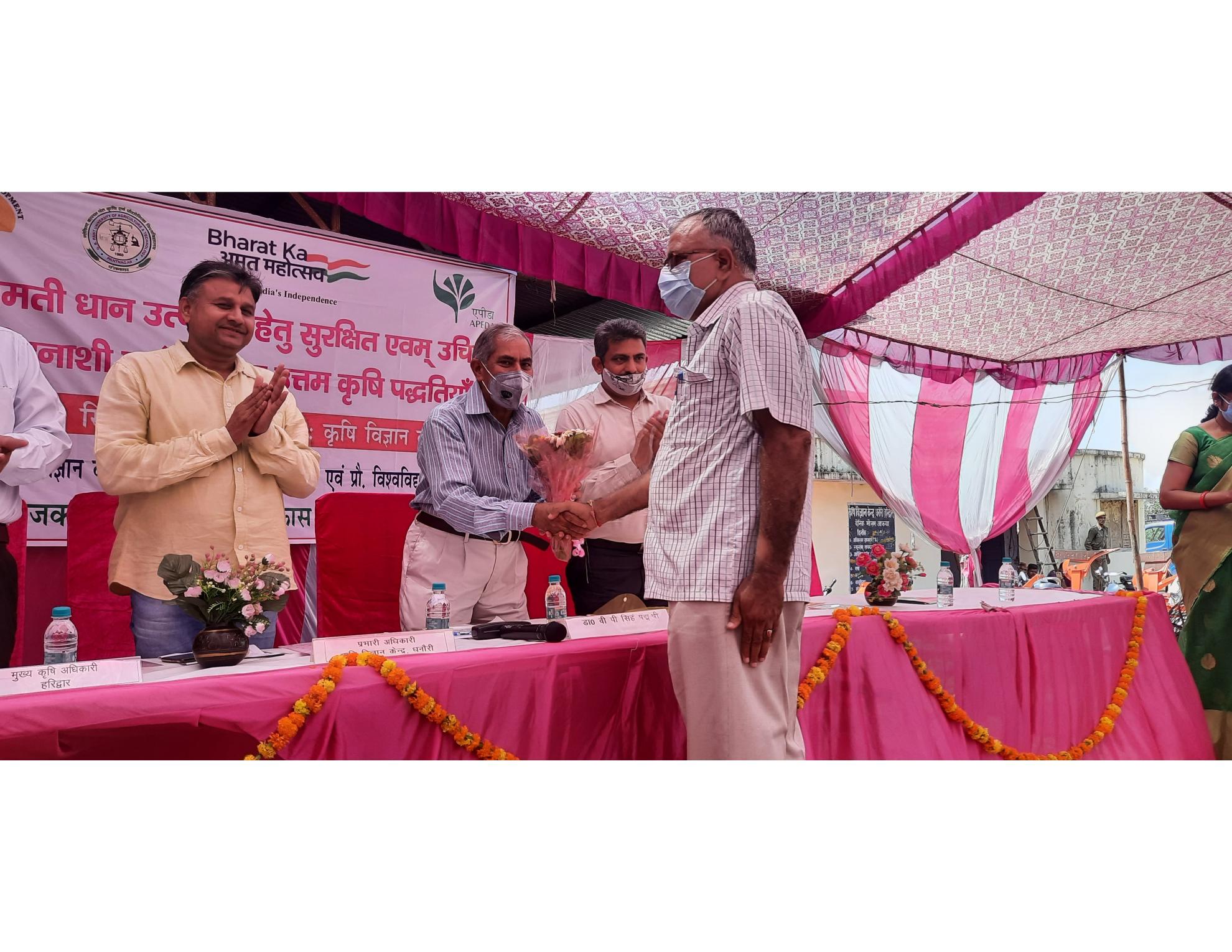 Basmati rice production programme